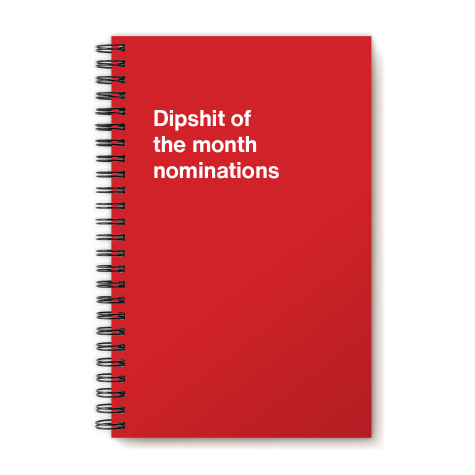 A funny notebook from WTF Notebooks® entitled "Dipshit of the month nominations"
