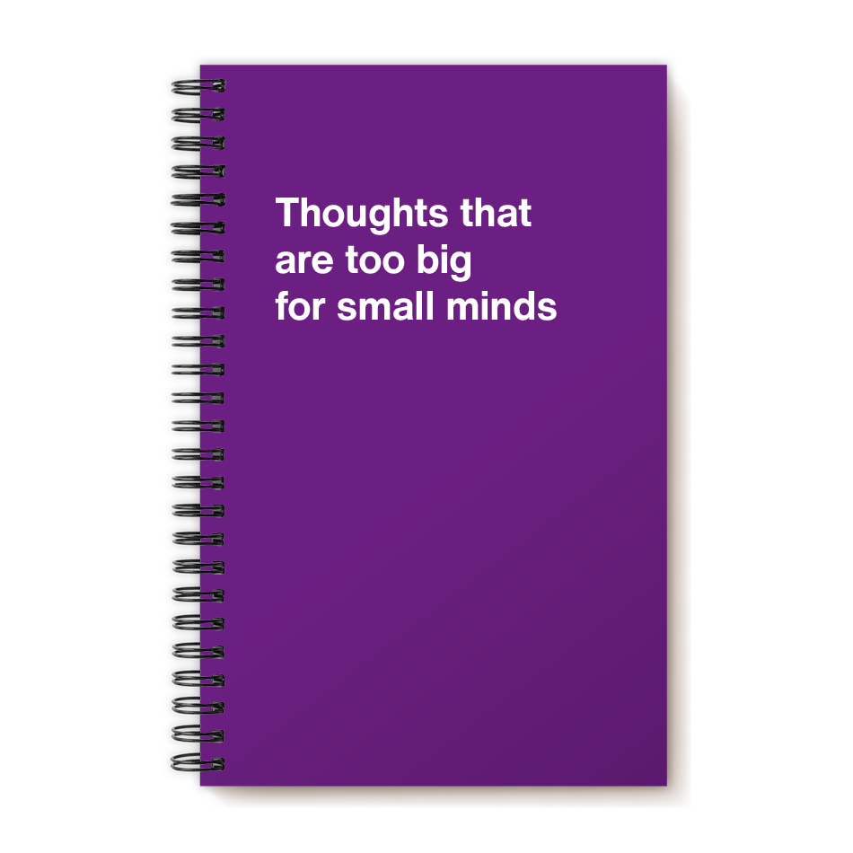 A funny notebook from WTF Notebooks® entitled "Thoughts that are too big for small minds"