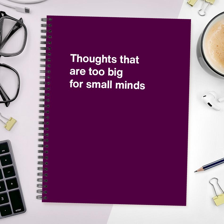 A funny notebook from WTF Notebooks® entitled "Thoughts that are too big for small minds"