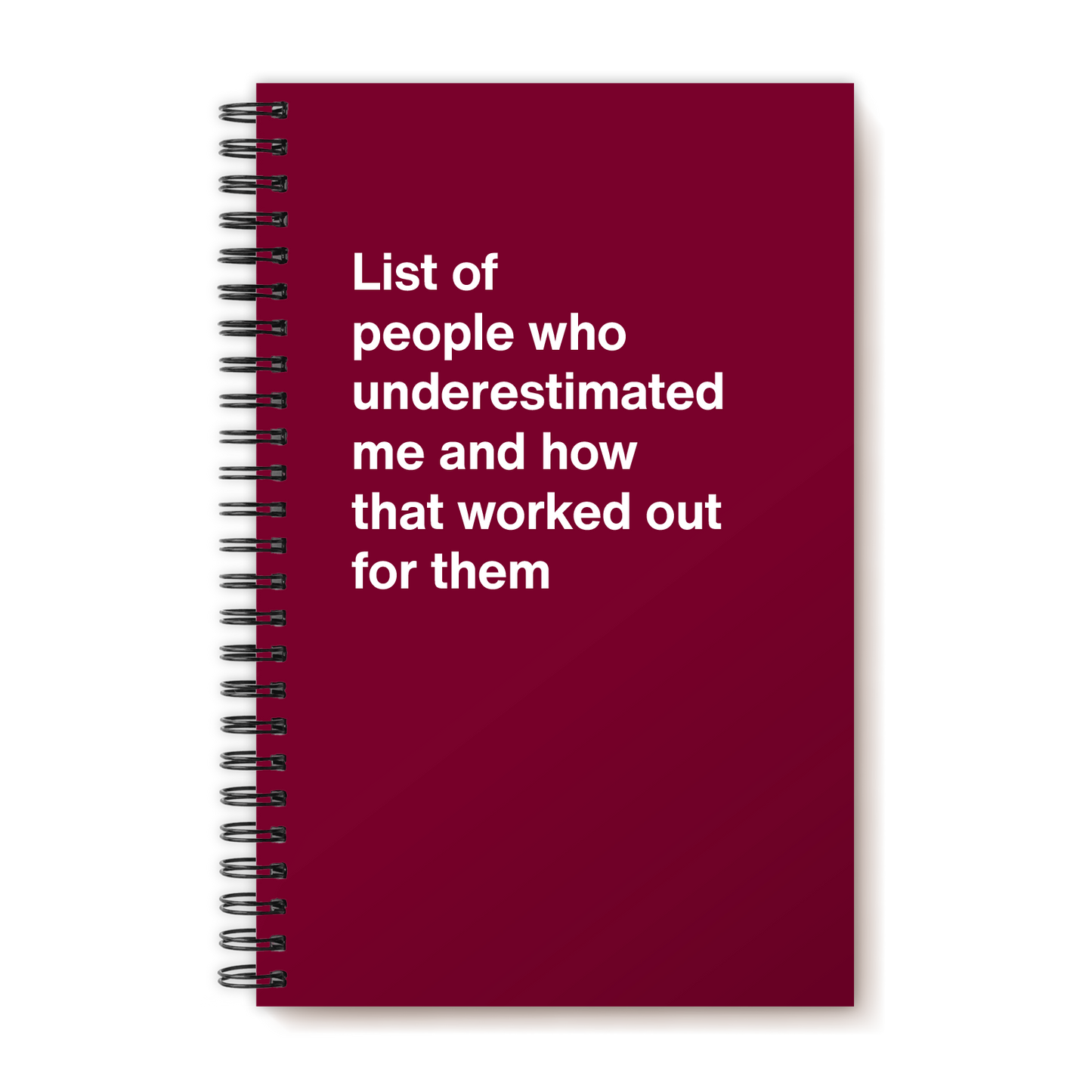 A funny notebook from WTF Notebooks® entitled "List of people who underestimated me and how that worked out for them"