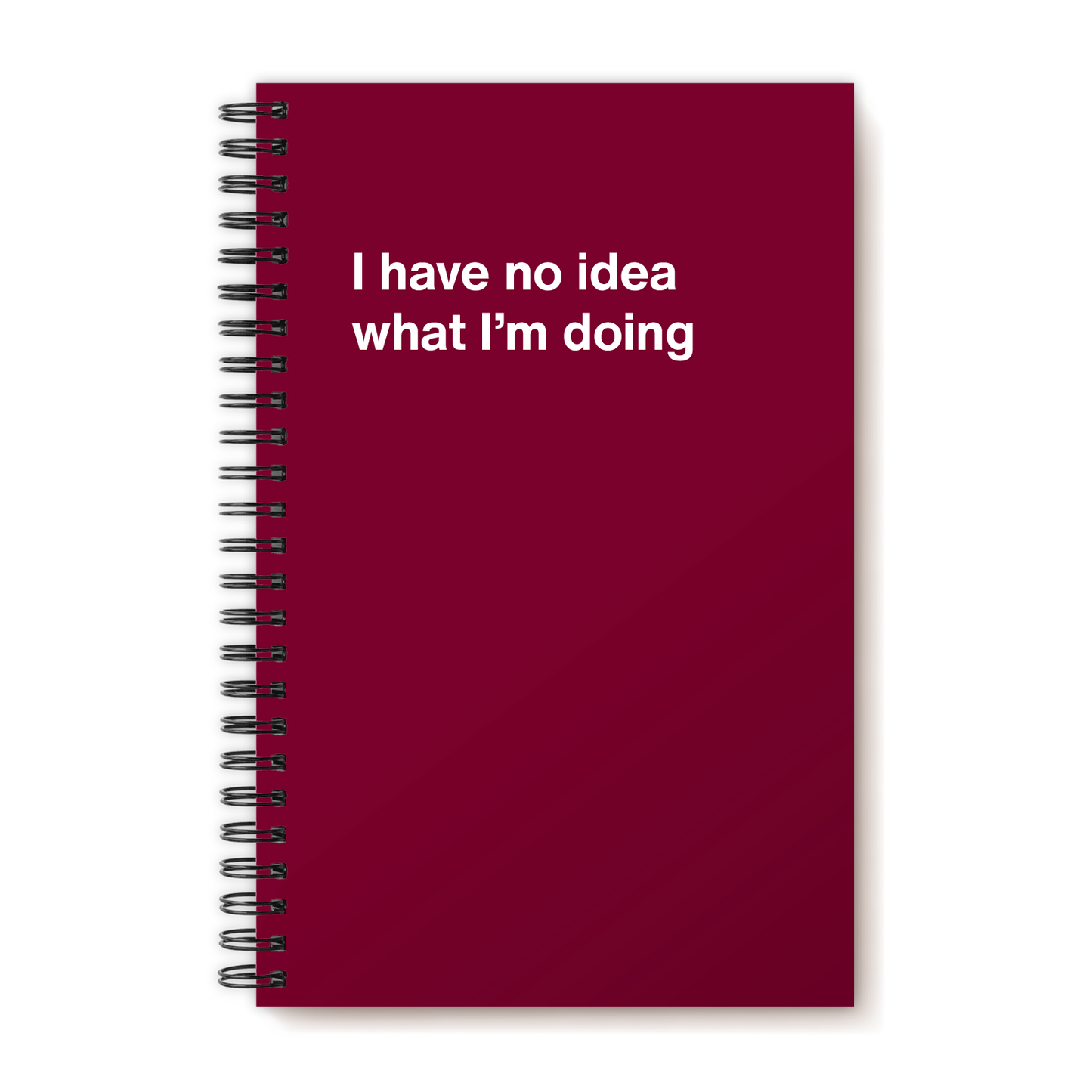A funny notebook from WTF Notebooks® entitled "I have no idea what I’m doing"