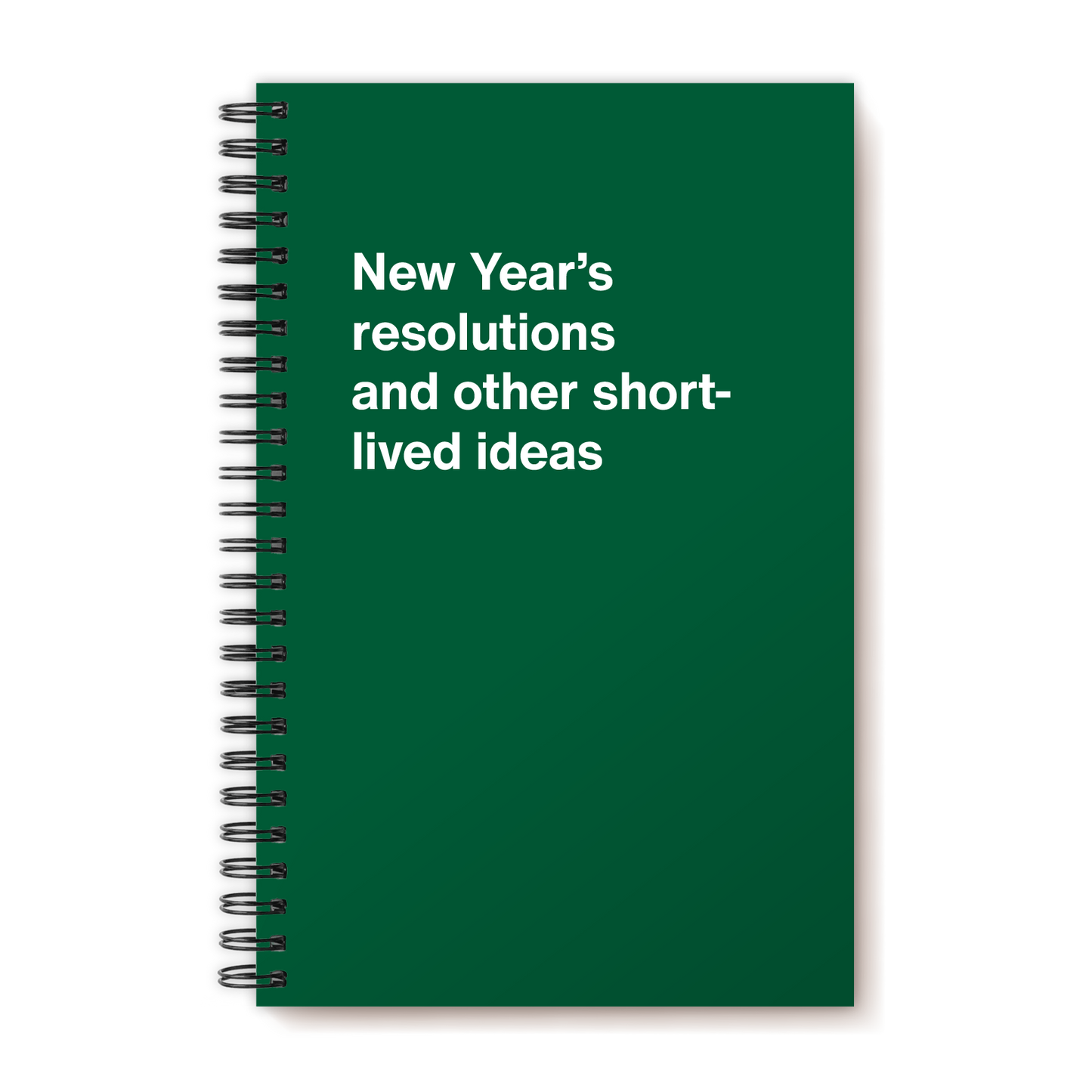 A funny notebook from WTF Notebooks® entitled "New Year’s resolutions and other short-lived ideas"