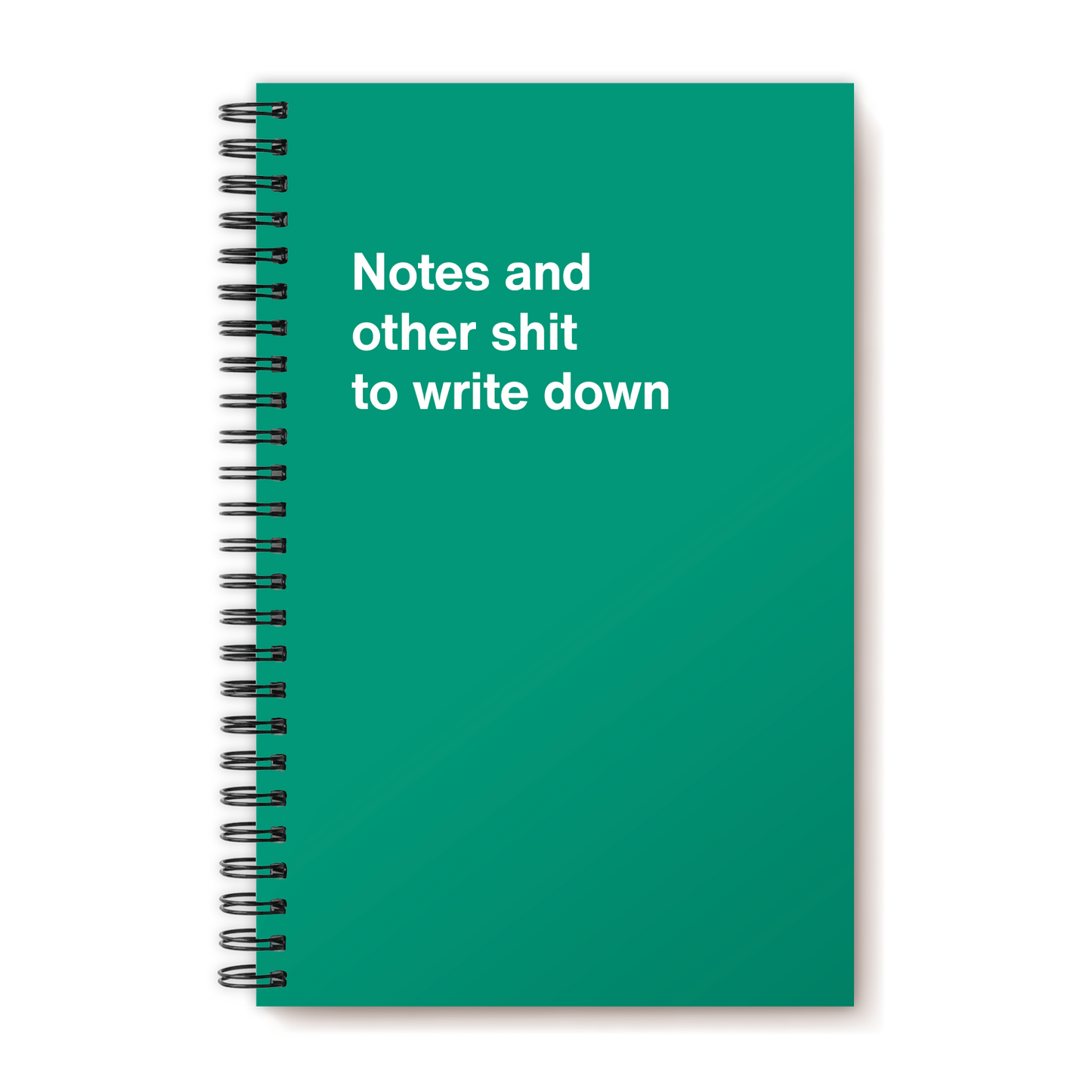 A funny notebook from WTF Notebooks® entitled "Notes and other shit to write down"