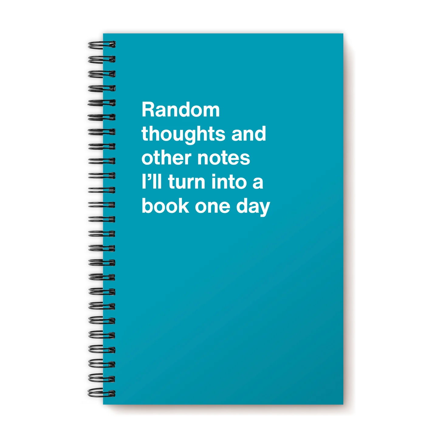 A funny notebook from WTF Notebooks® entitled "Random thoughts and other notes I’ll turn into a book one day"