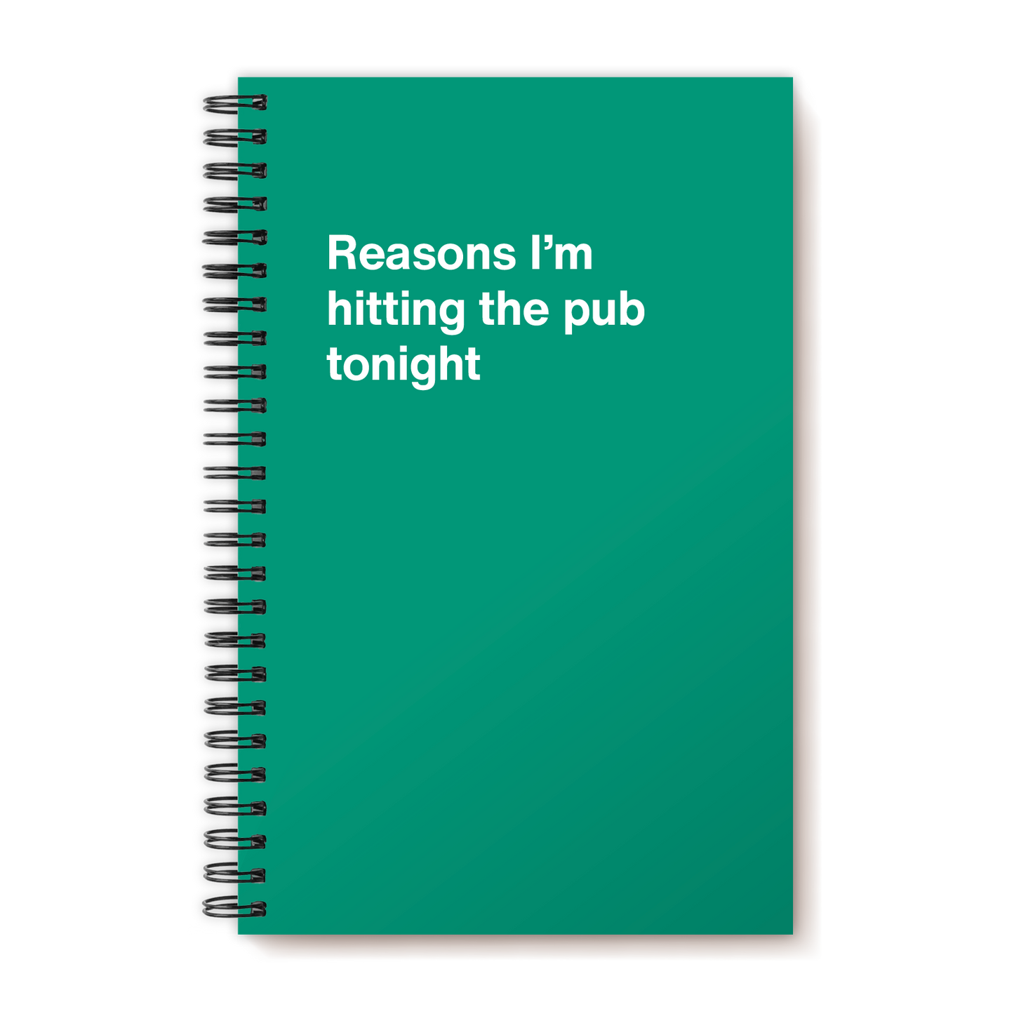 A funny notebook from WTF Notebooks® entitled "Reasons I’m hitting the pub tonight"