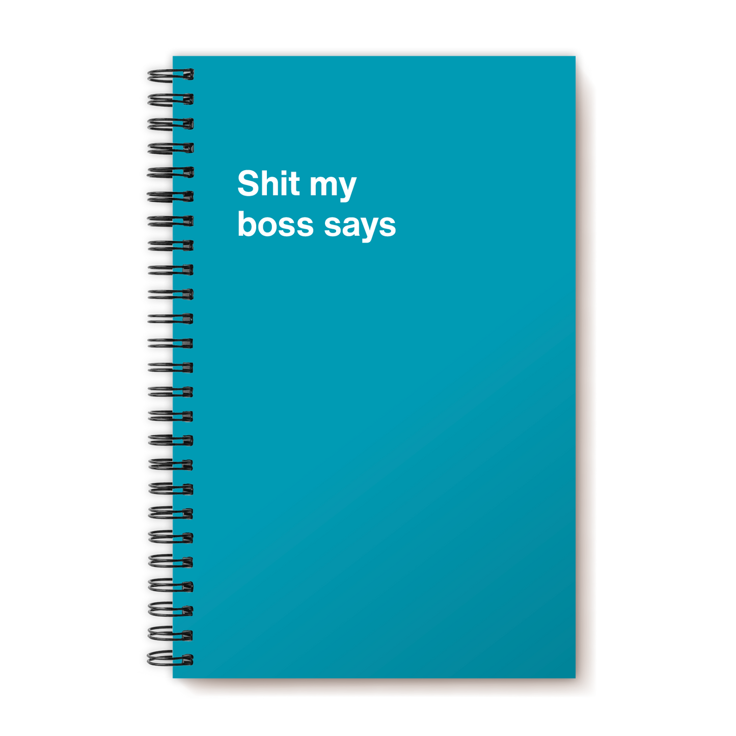 A funny notebook from WTF Notebooks® entitled "Shit my boss says"