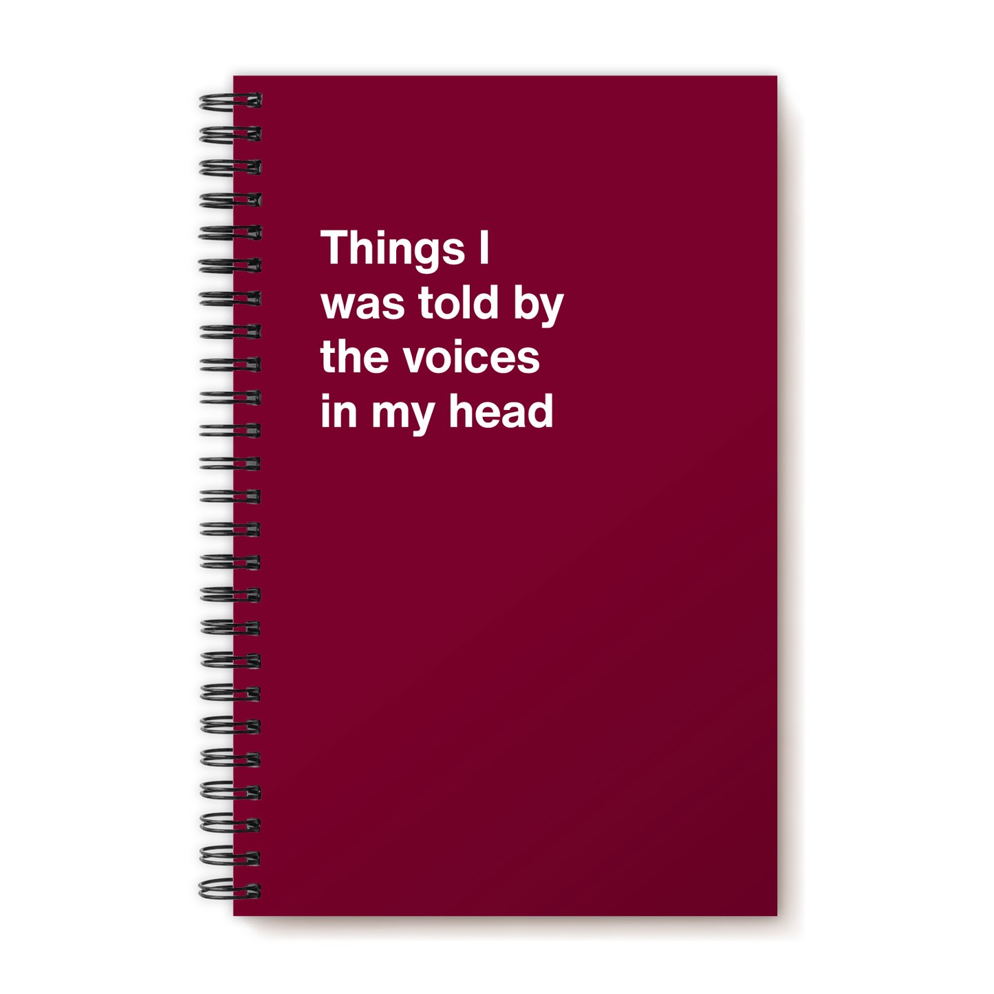 A funny notebook from WTF Notebooks® entitled "Things I was told by the voices in my head"