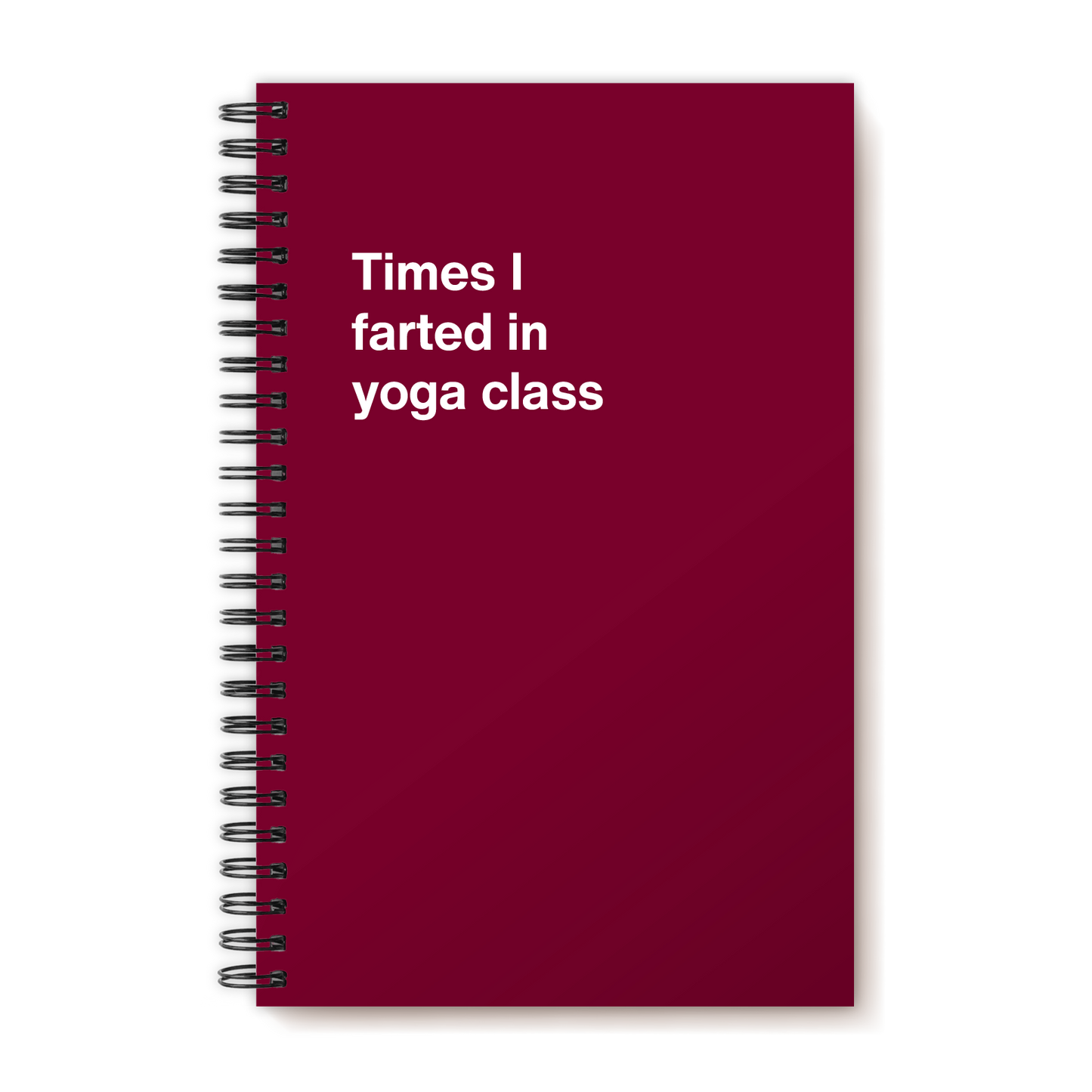 A funny notebook from WTF Notebooks® entitled "Times I farted in yoga class"