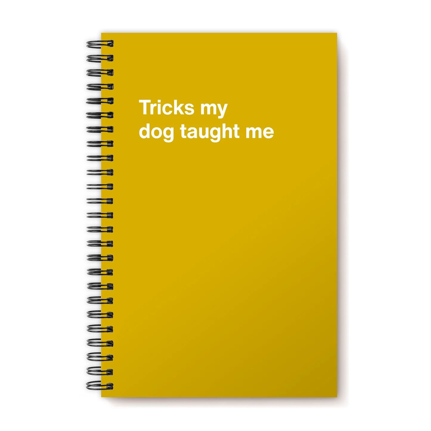A funny notebook from WTF Notebooks® entitled "Tricks my dog taught me"