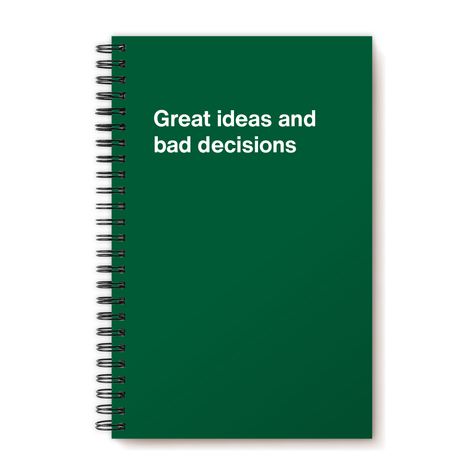 A funny notebook from WTF Notebooks® entitled "Great ideas and bad decisions"
