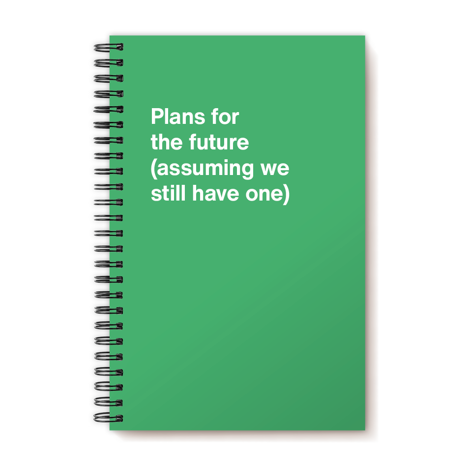 A funny notebook from WTF Notebooks® entitled "Plans for the future (assuming we still have one)"