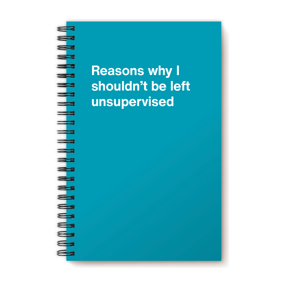 A funny notebook from WTF Notebooks® entitled "Reasons why I shouldn't be left unsupervised"