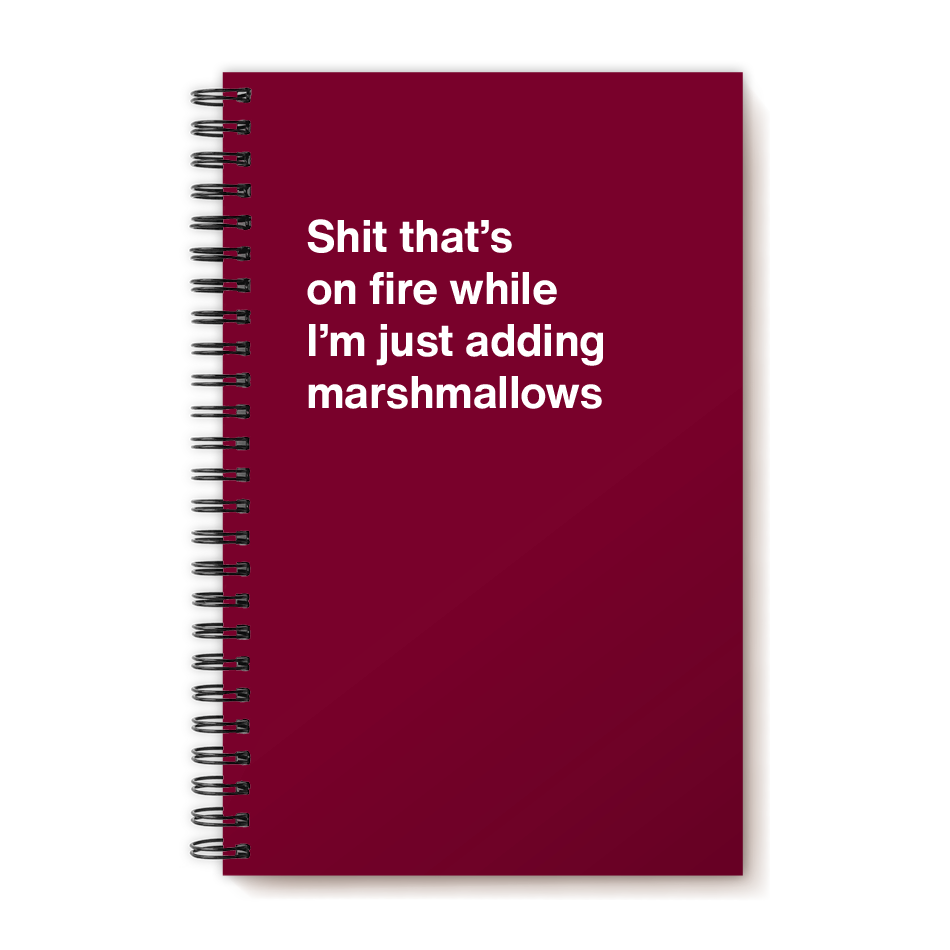 A funny notebook from WTF Notebooks® entitled "Shit that's on fire while I'm just adding marshmallows"