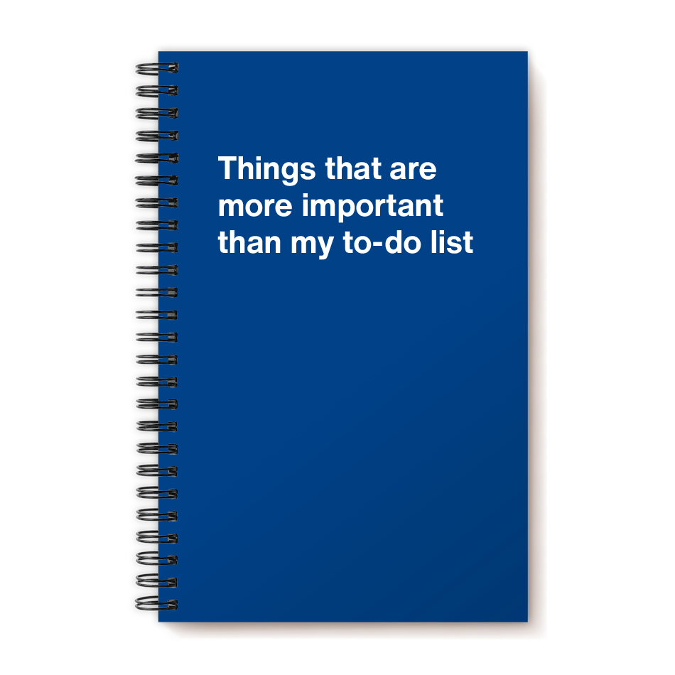 A funny notebook from WTF Notebooks® entitled "Things that are more important than my to-do list"
