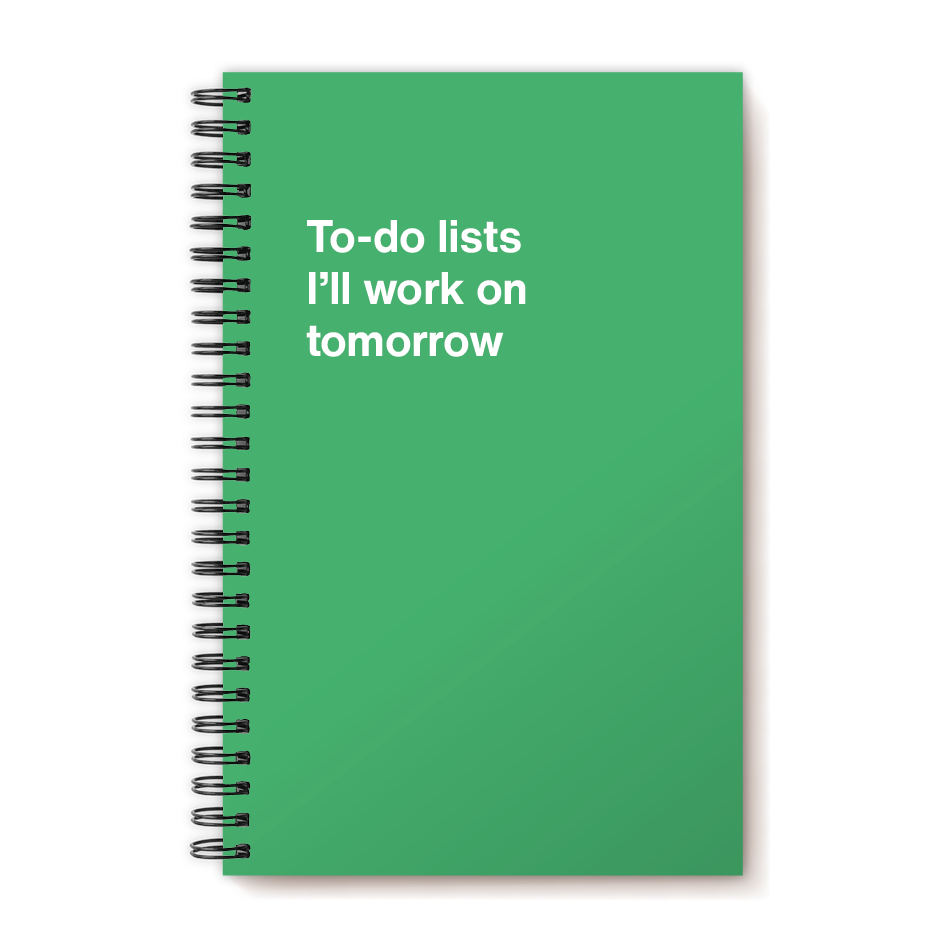 A funny notebook from WTF Notebooks® entitled "To-do lists I'll work on tomorrow"