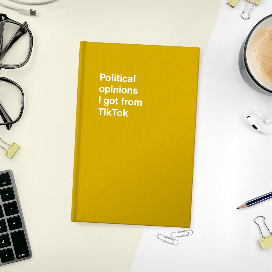 
                  
                    A funny notebook from WTF Notebooks® entitled "Political opinions I got from TikTok"
                  
                