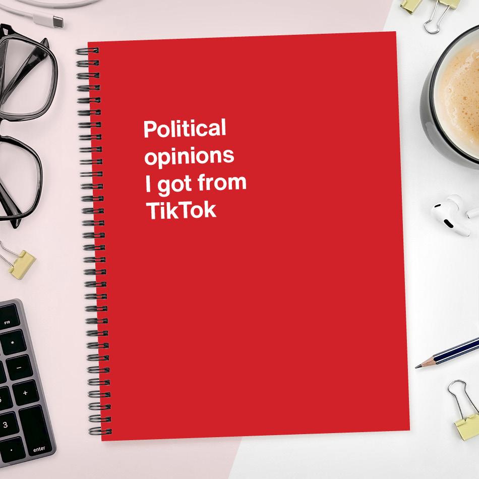 
                  
                    A funny notebook from WTF Notebooks® entitled "Political opinions I got from TikTok"
                  
                