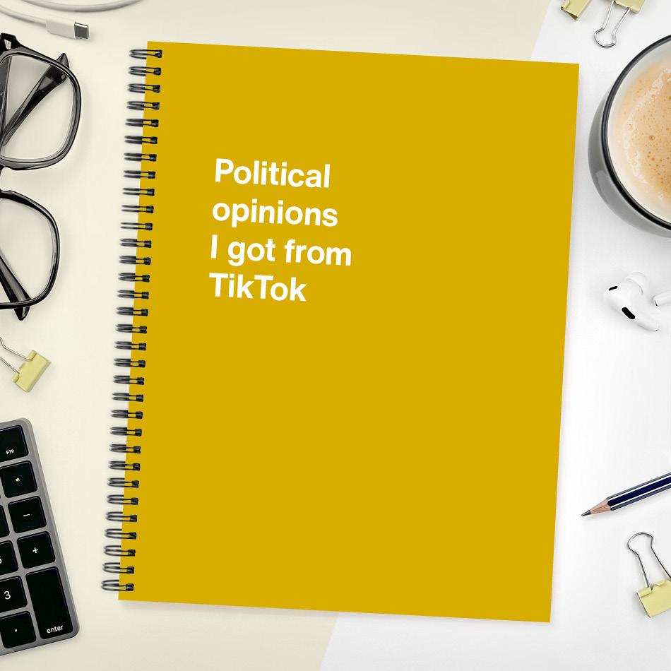 
                  
                    A funny notebook from WTF Notebooks® entitled "Political opinions I got from TikTok"
                  
                
