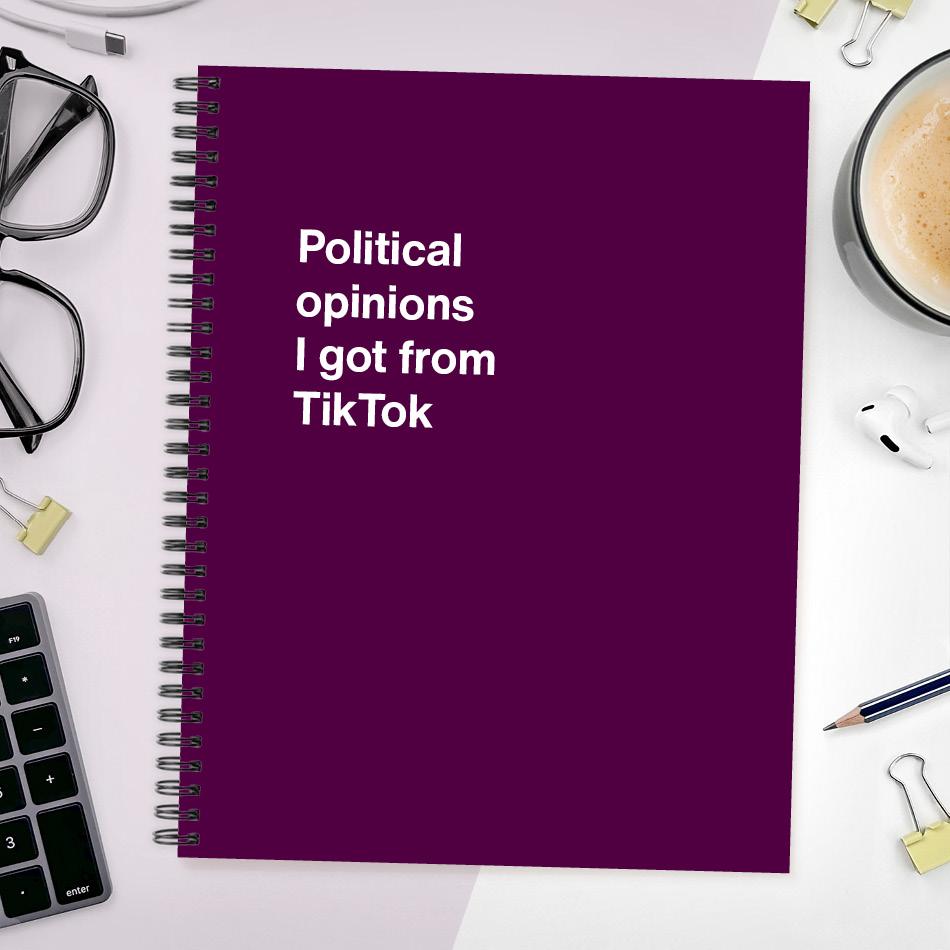 
                  
                    A funny notebook from WTF Notebooks® entitled "Political opinions I got from TikTok"
                  
                