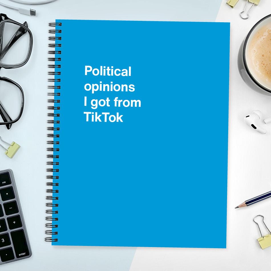 
                  
                    A funny notebook from WTF Notebooks® entitled "Political opinions I got from TikTok"
                  
                