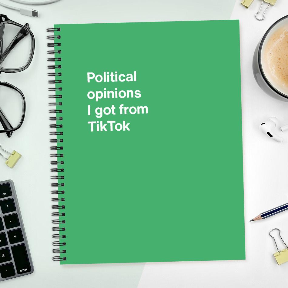
                  
                    A funny notebook from WTF Notebooks® entitled "Political opinions I got from TikTok"
                  
                