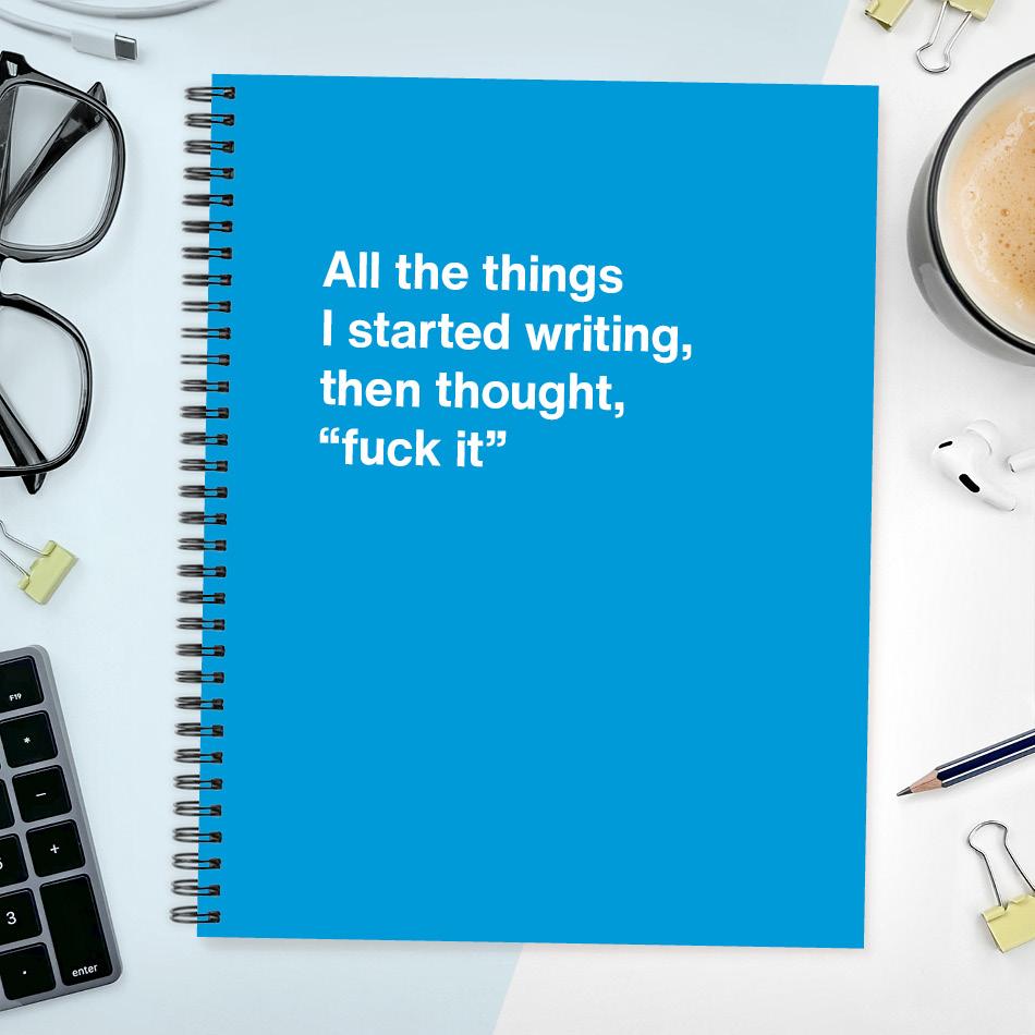 A funny notebook from WTF Notebooks® entitled 