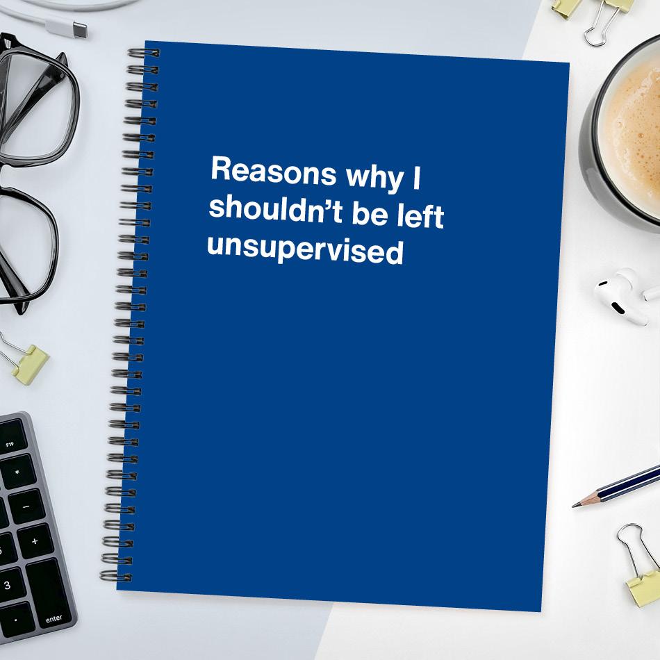 A funny notebook from WTF Notebooks® entitled 