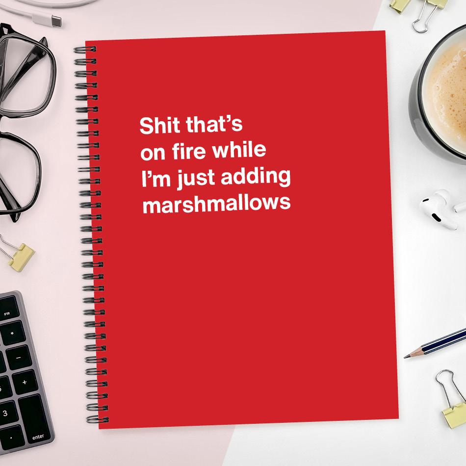 A funny notebook from WTF Notebooks® entitled 
