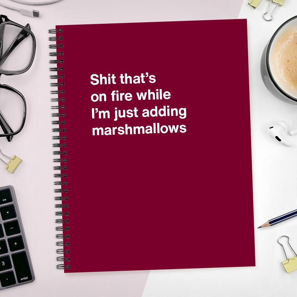 A funny notebook from WTF Notebooks® entitled 