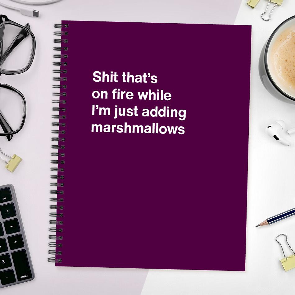 A funny notebook from WTF Notebooks® entitled 