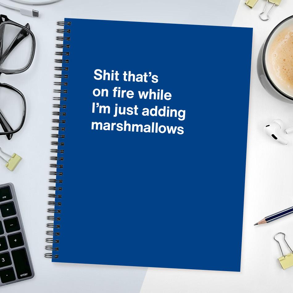 
                  
                    A funny notebook from WTF Notebooks® entitled "Shit that's on fire while I'm just adding marshmallows"
                  
                