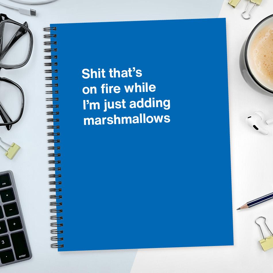 A funny notebook from WTF Notebooks® entitled 