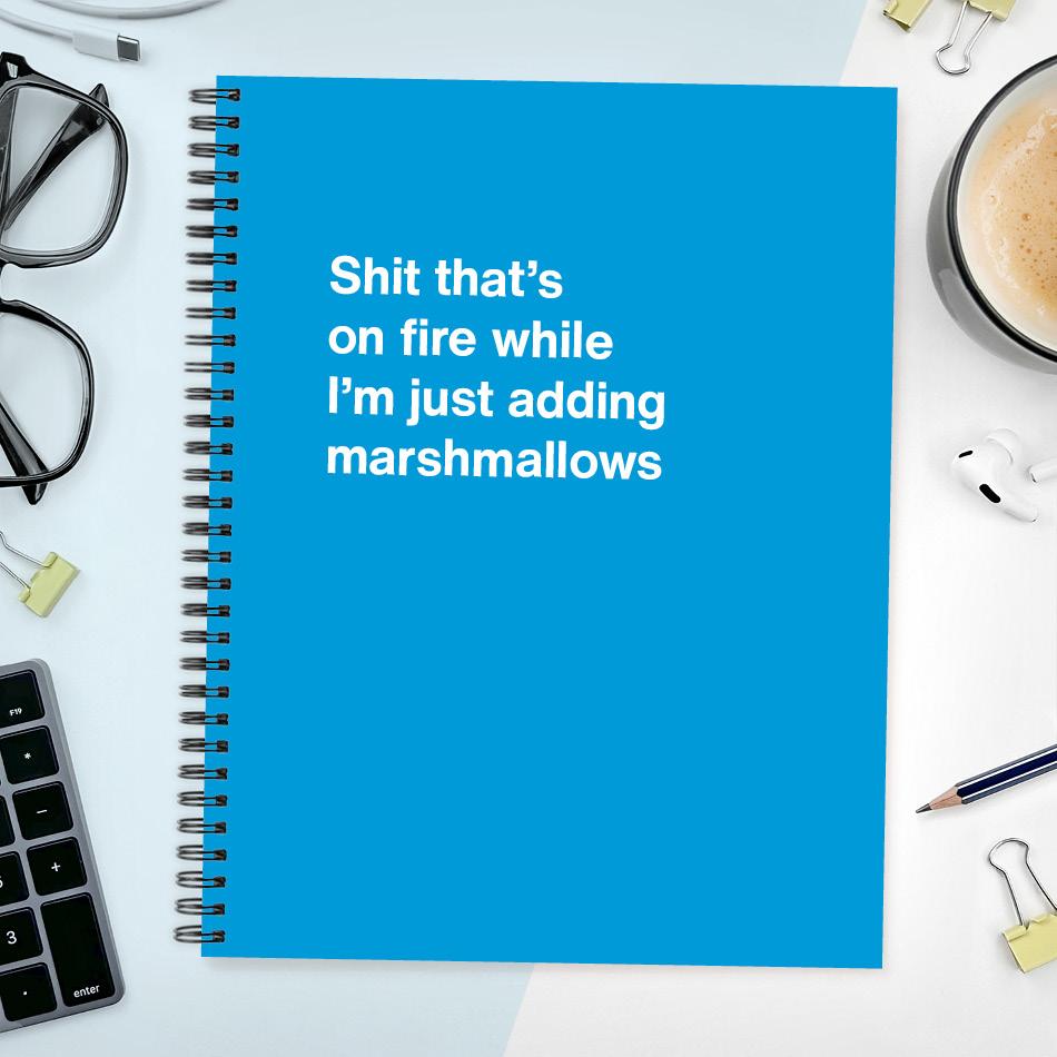 
                  
                    A funny notebook from WTF Notebooks® entitled "Shit that's on fire while I'm just adding marshmallows"
                  
                