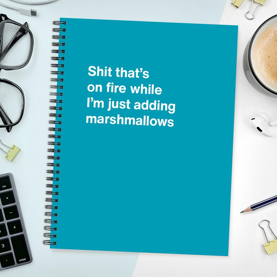 
                  
                    A funny notebook from WTF Notebooks® entitled "Shit that's on fire while I'm just adding marshmallows"
                  
                
