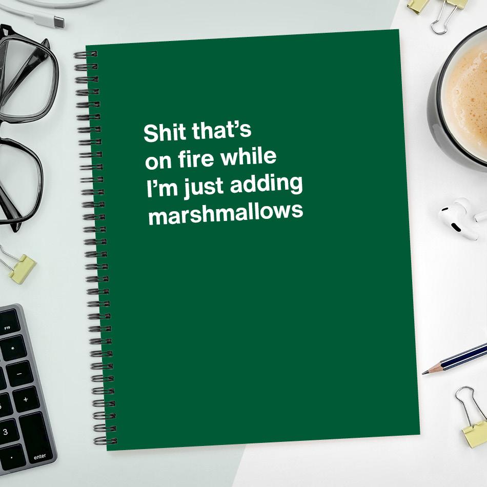 
                  
                    A funny notebook from WTF Notebooks® entitled "Shit that's on fire while I'm just adding marshmallows"
                  
                