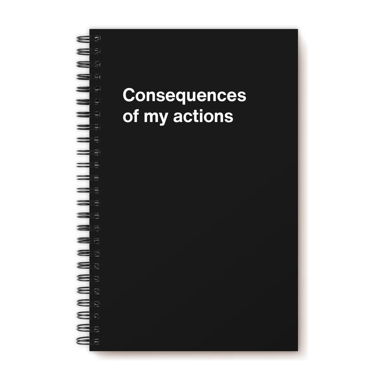 A funny notebook from WTF Notebooks® entitled "Consequences of my actions"