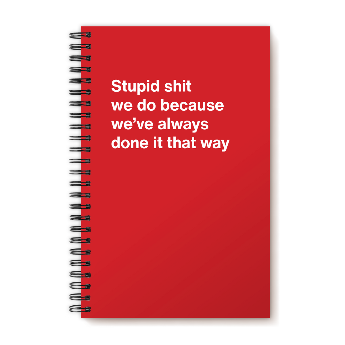 A funny notebook from WTF Notebooks® entitled "Stupid shit we do because we’ve always done it that way"