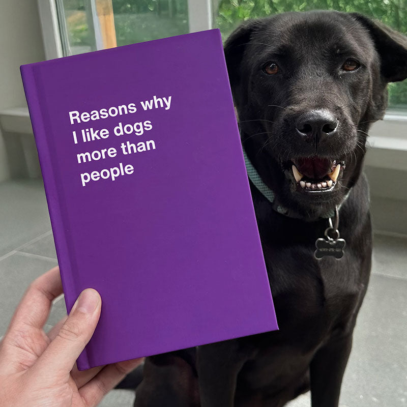 Reasons why I like dogs more than people