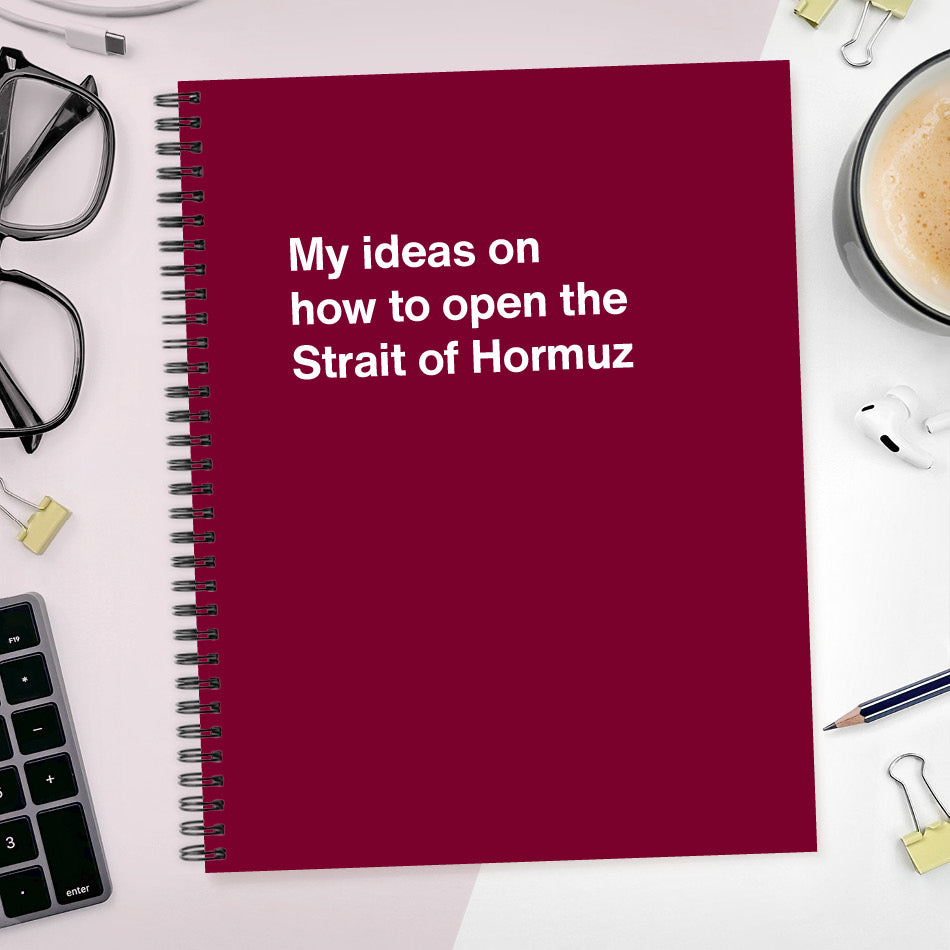 
                  
                    My ideas on how to open the Strait of Hormuz - Large softcover - Merlot
                  
                