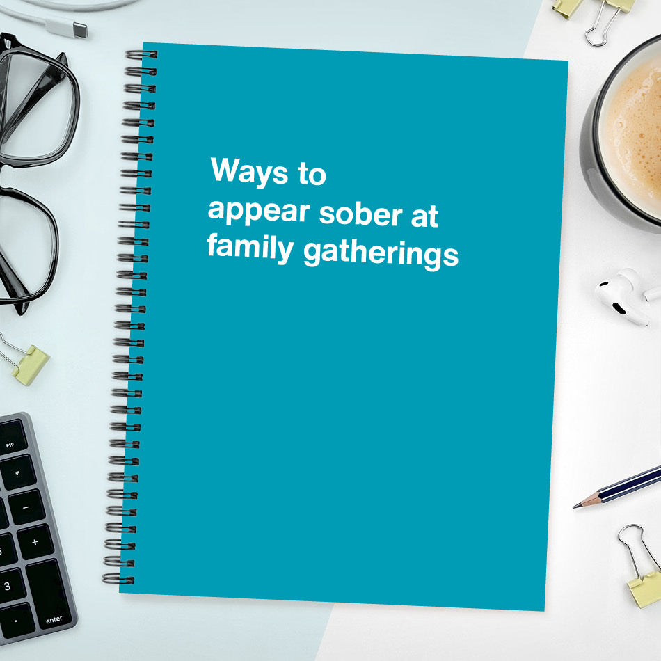 
                  
                    A funny notebook from WTF Notebooks® entitled "Ways to appear sober at family gatherings"
                  
                