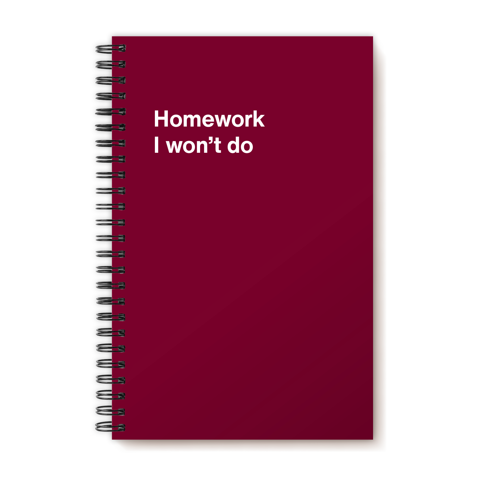 Homework I won’t do | WTF Notebooks