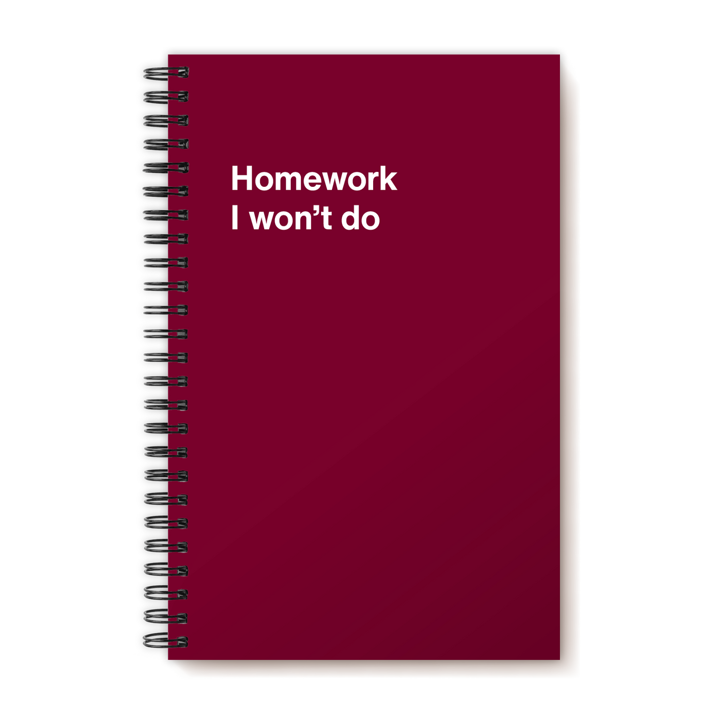 A funny notebook from WTF Notebooks® entitled "Homework I won’t do"