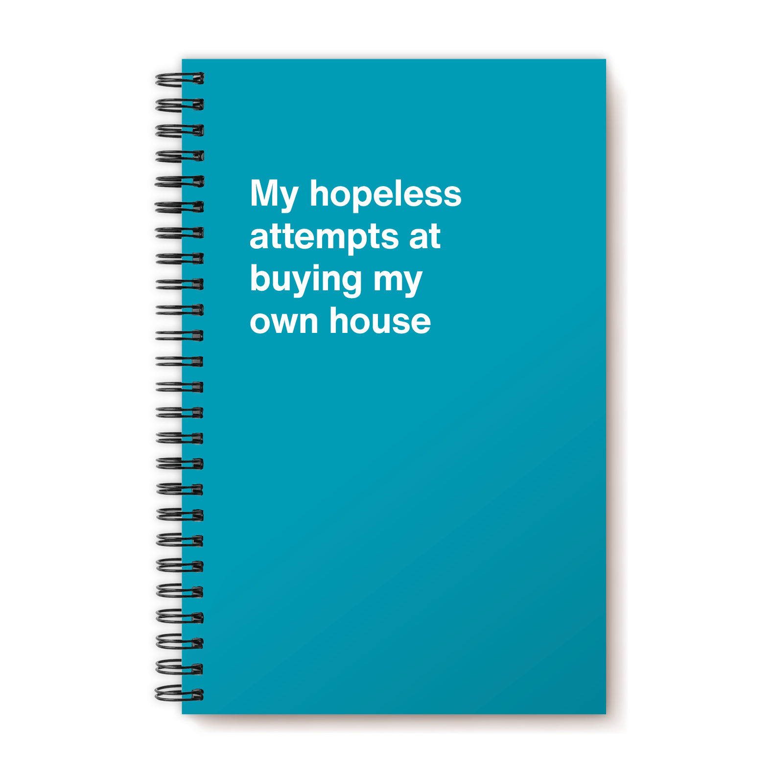My hopeless attempts at buying my own house | WTF Notebooks