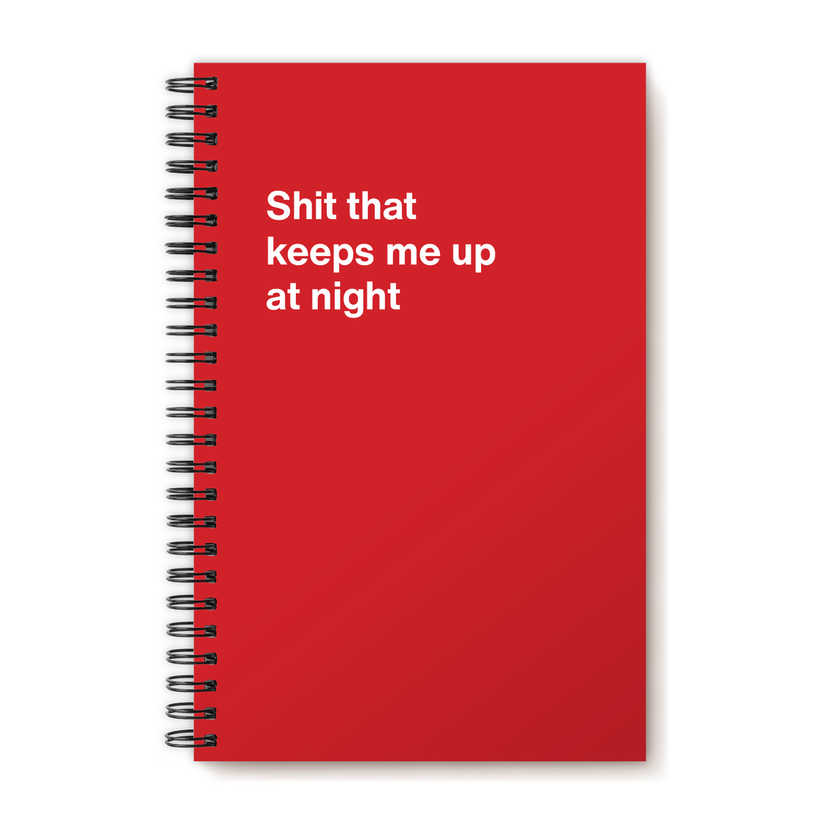 A funny notebook from WTF Notebooks® entitled "Shit that keeps me up at night"