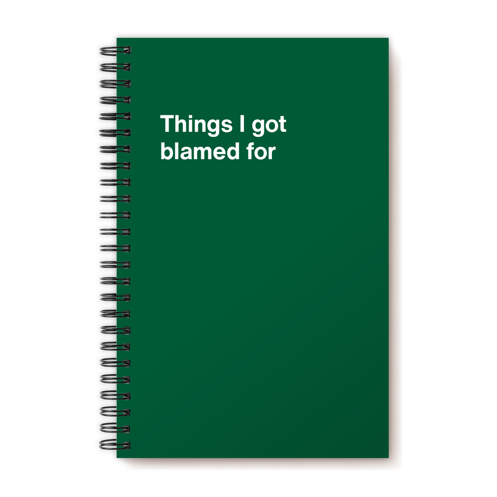 A funny notebook from WTF Notebooks® entitled 