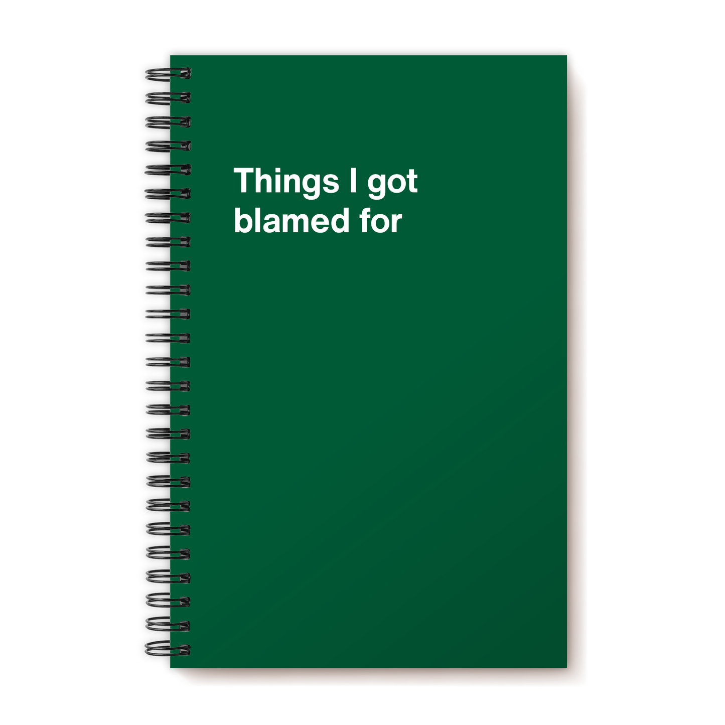 A funny notebook from WTF Notebooks® entitled "Things I got blamed for"