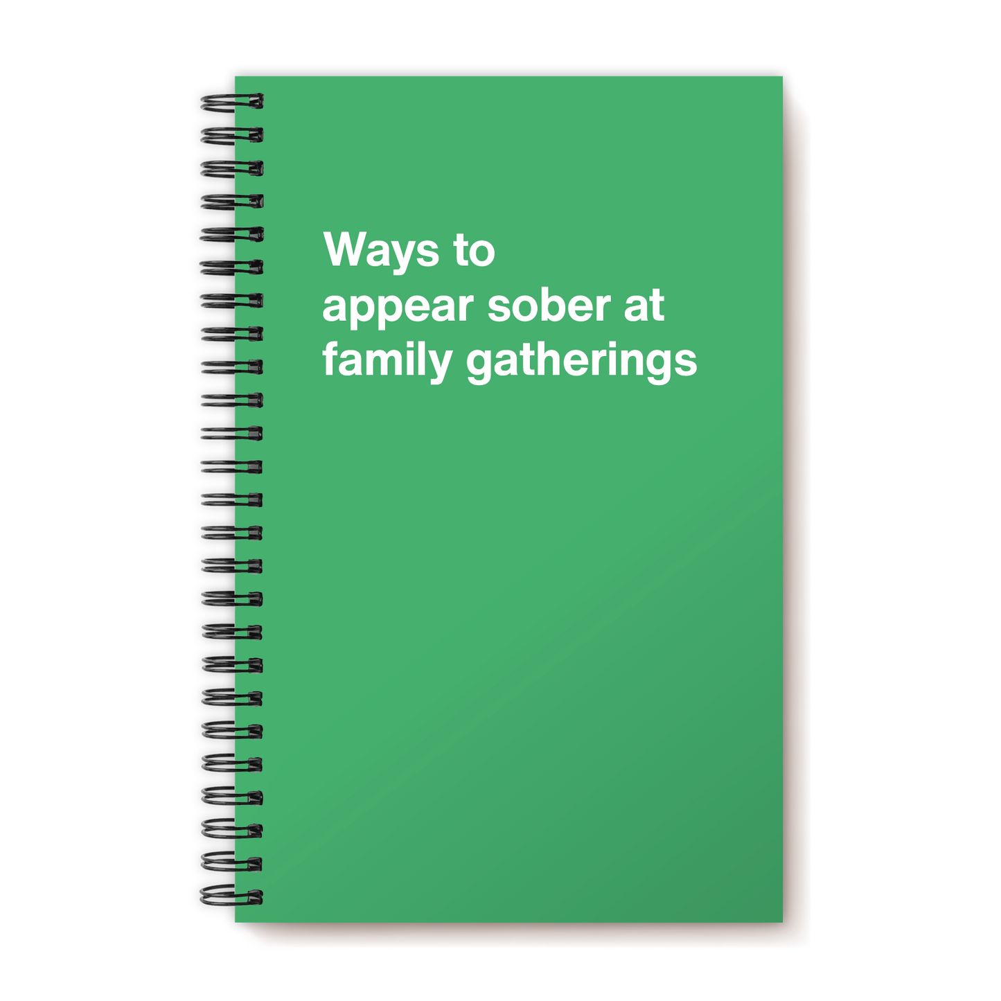 A funny notebook from WTF Notebooks® entitled "Ways to appear sober at family gatherings"