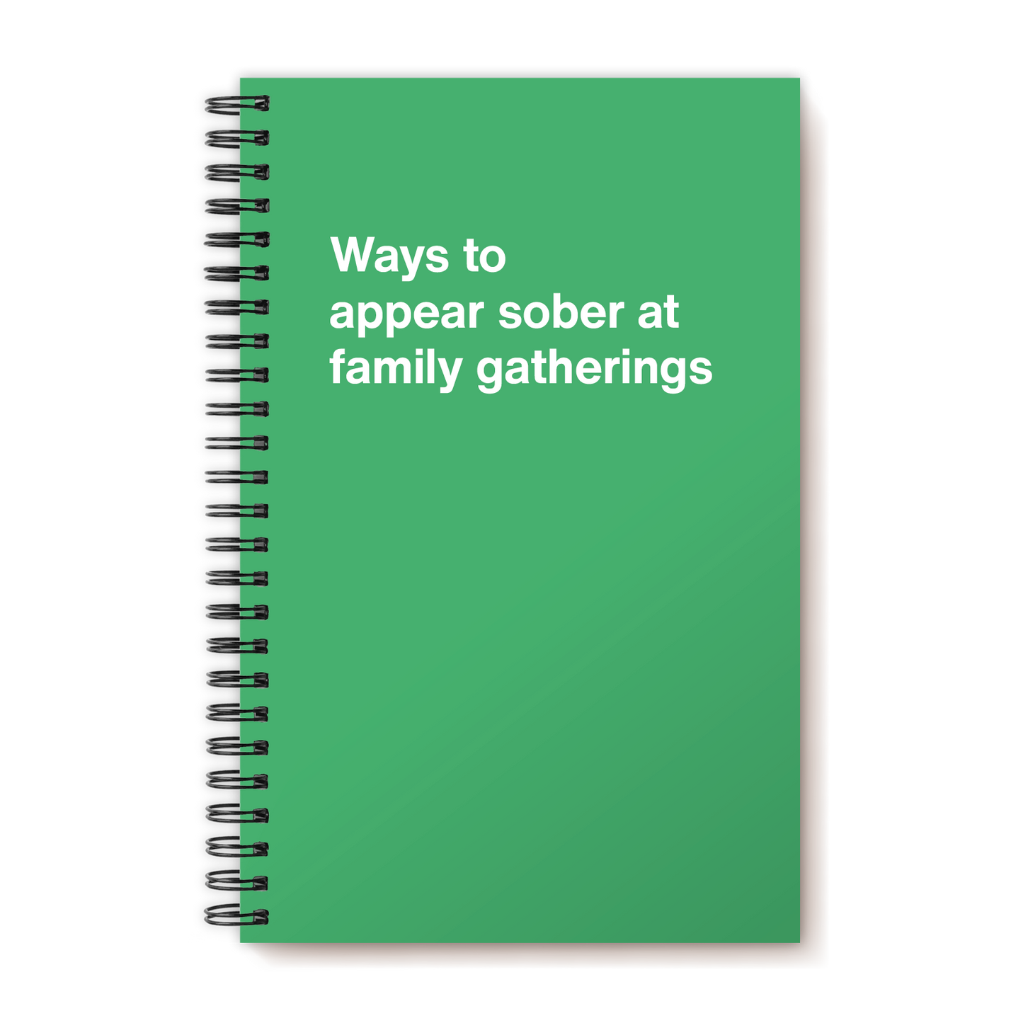 
                  
                    Ways to appear sober at family gatherings | WTF Notebooks
                  
                