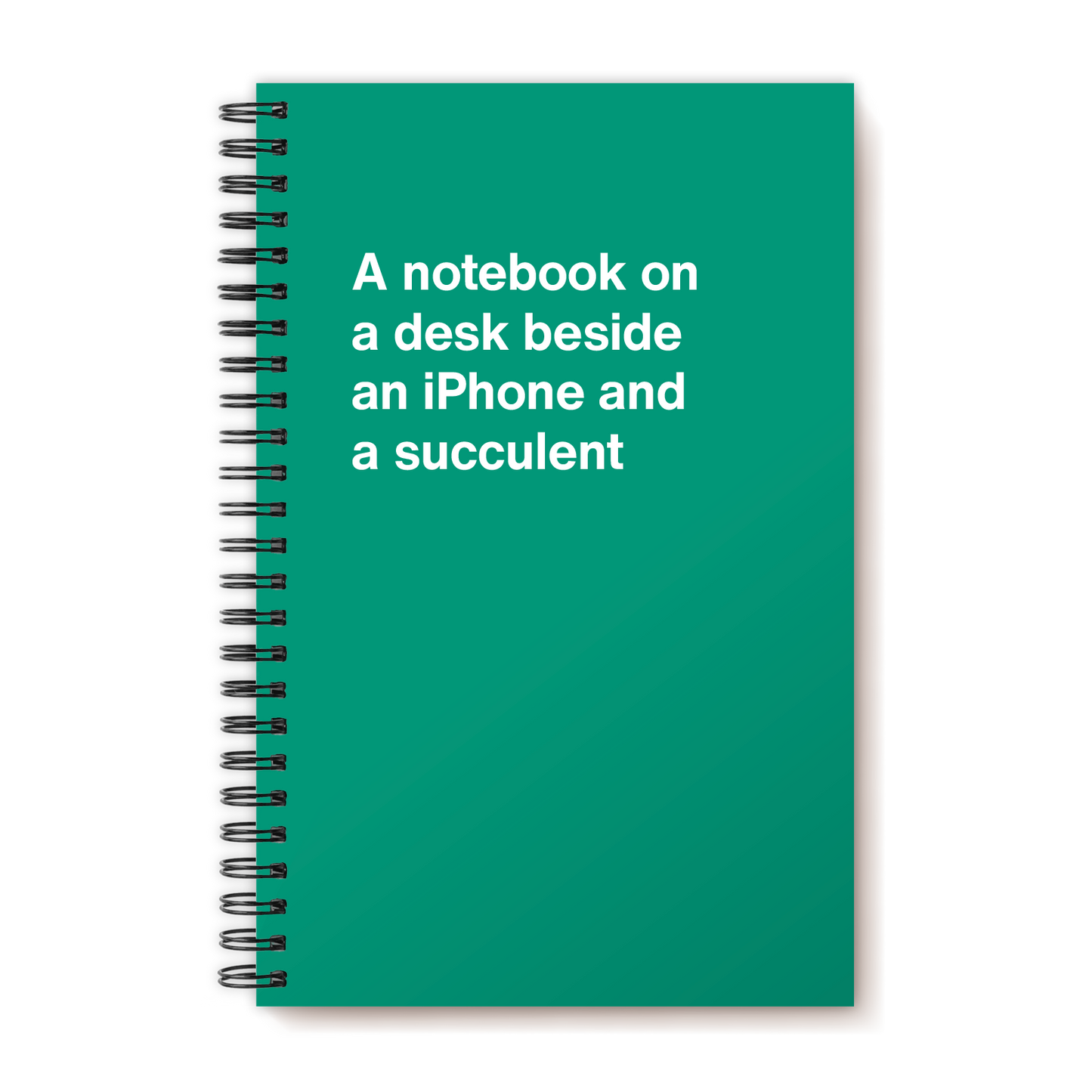 A funny notebook from WTF Notebooks® entitled "A notebook on a desk beside an iPhone and a succulent"
