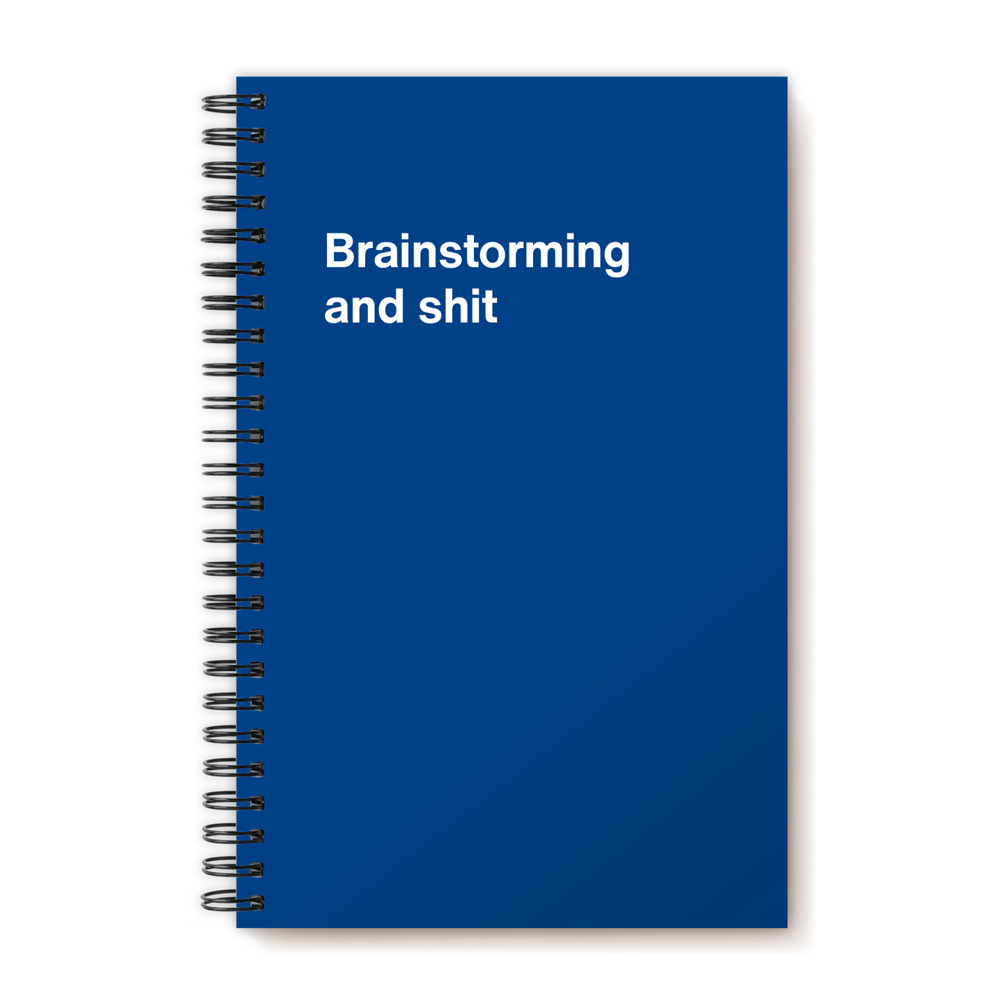 A funny notebook from WTF Notebooks® entitled "Brainstorming and shit"